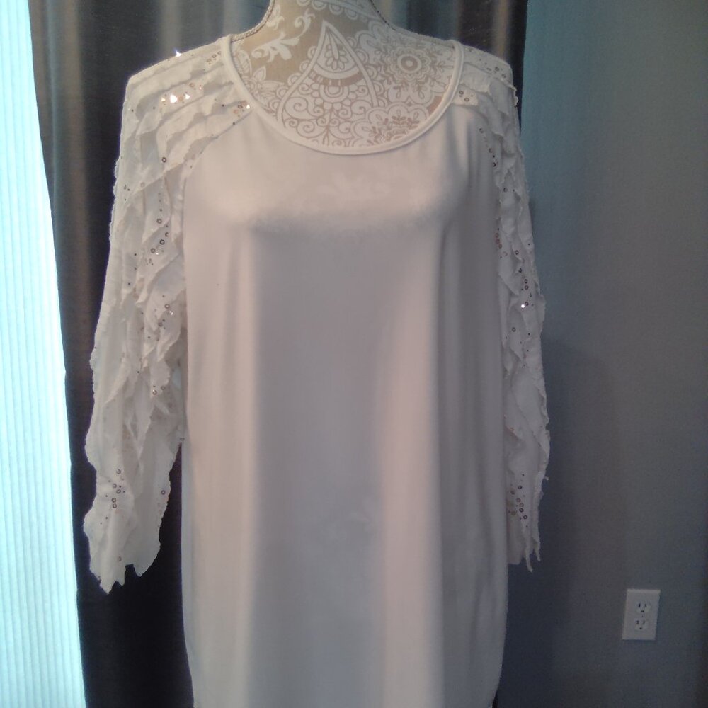 Beautiful Ruffle Sleeve Blouse